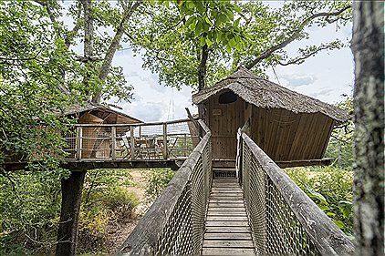 Tree-house Forest Camp 5/6p 2Bdrms