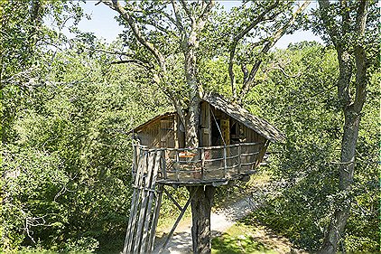 Tree-house Forest Camp 2p
