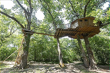 Tree-house Forest Camp 4p