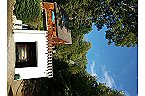 Villa Les Orgues - house with garden and pool Beaulieu Thumbnail 4