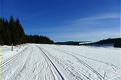 Appartements, Apartment U Semushki 2, BN63571