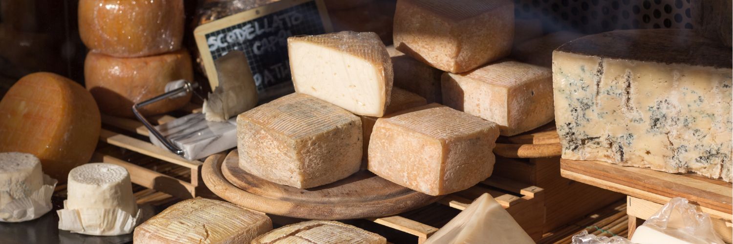A Journey Through Italy's Finest Cheeses and Agrotourism Delights