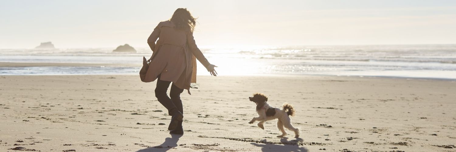 De beste hondenstranden in Nederland 